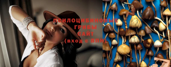 наркотики Всеволожск