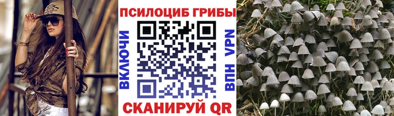 Псилоцибиновые грибы ЛСД  купить наркотик  Кириллов 